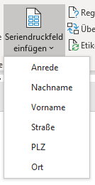 Etiketten drucken - Felder einfügen in Word