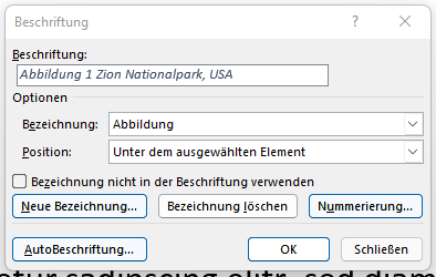Beschriftung einer Abbildung