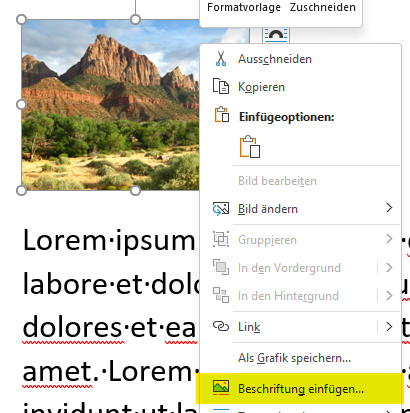 Abbildungsverzeichnis in Word