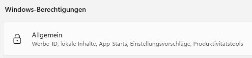 Windows 11 Datenschutz allgemein