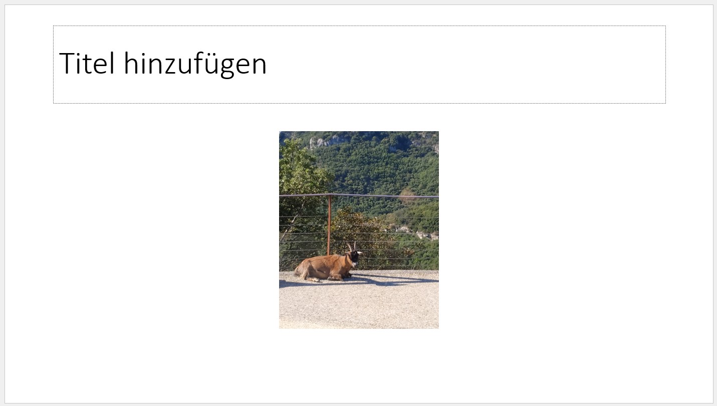 powerpoint bild seitenverhältnis zuschneiden