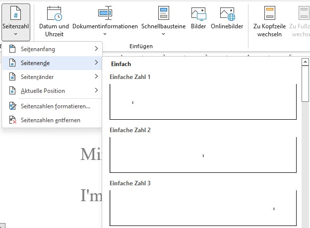 word seitenzahlen einfügen